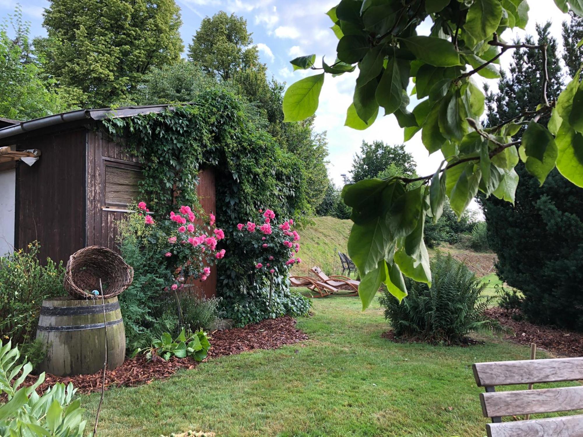 Rebenhaus Meißen Exteriör bild