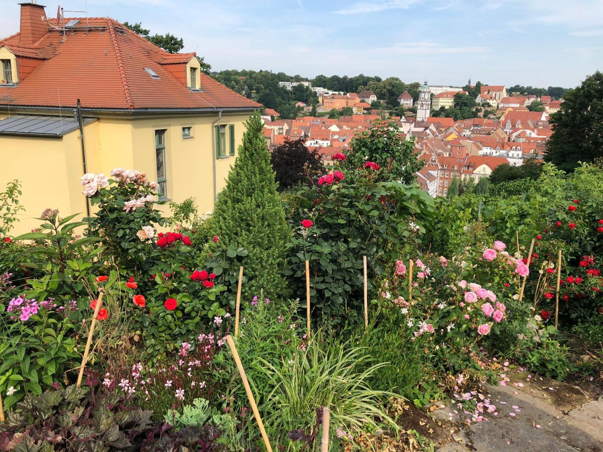 Rebenhaus Meißen Exteriör bild